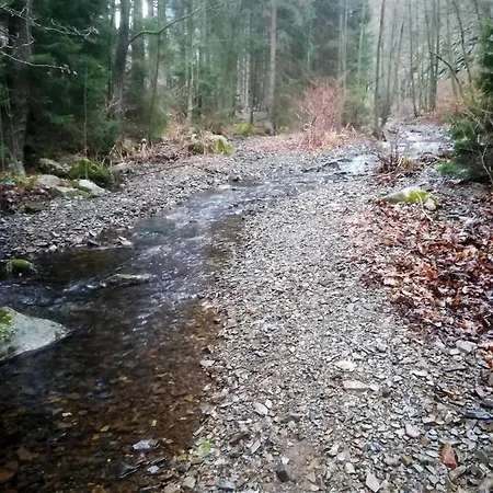 Fewo Glockenberg Untermühle * Altenau (Lower-Saxony)